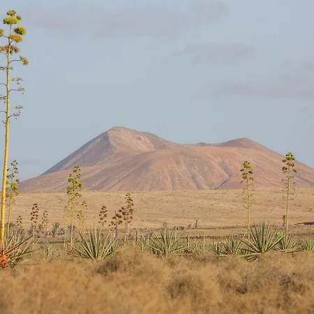 Lägenhet Exclusive Design Loft With Air-conditioning 7 Minutes From The *